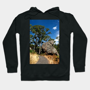 Fallen Rock Hoodie